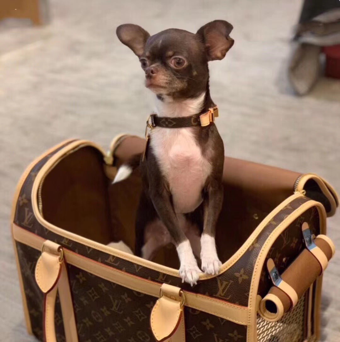 LuiVii Bag