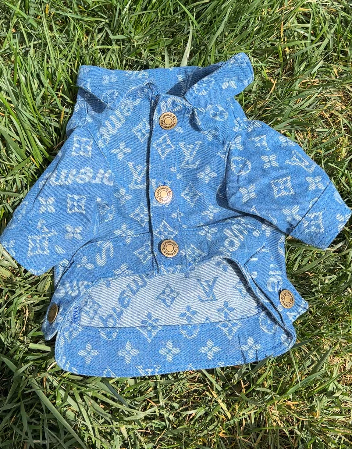 LuiVii Jeans Jacket