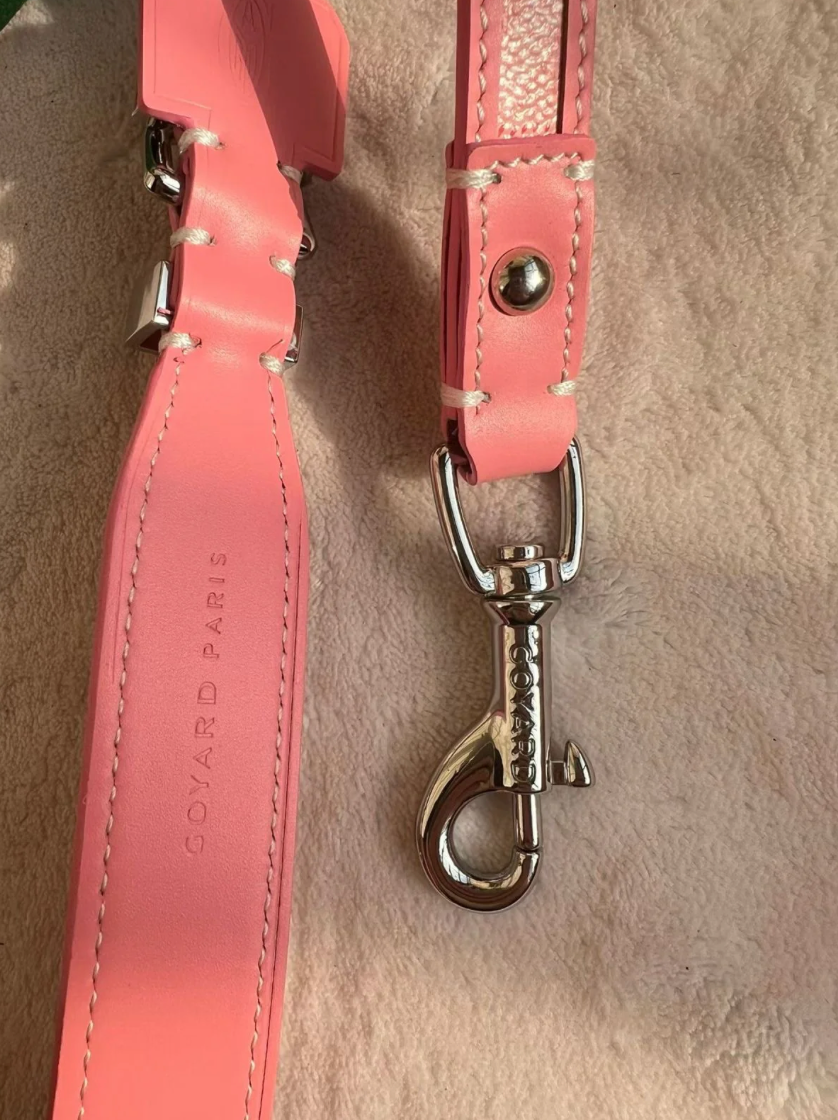 GOYY PINK COLLAR & LEASH SET