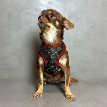 LuiPawtton harness & leash set