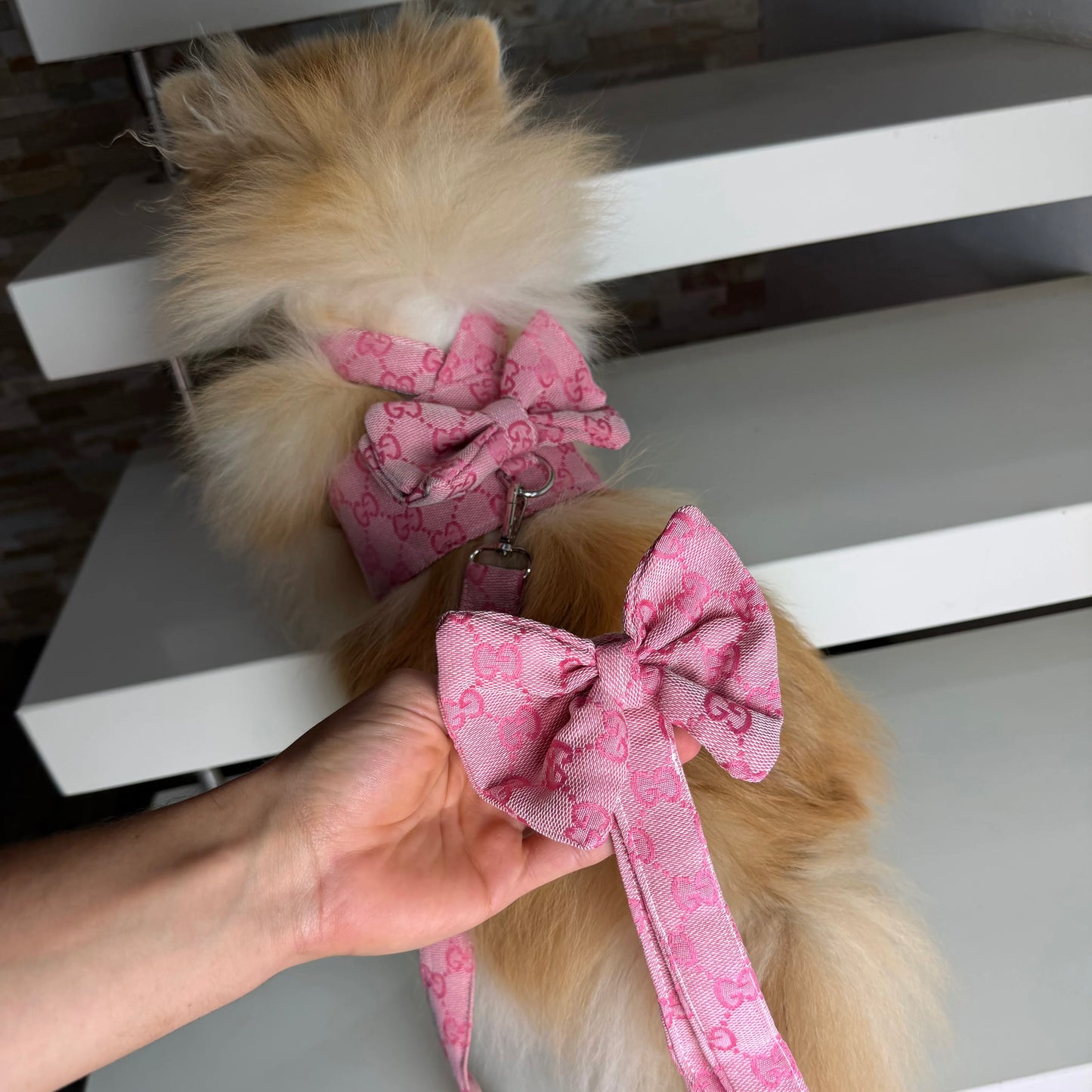 GiGi Bow harness & leash set