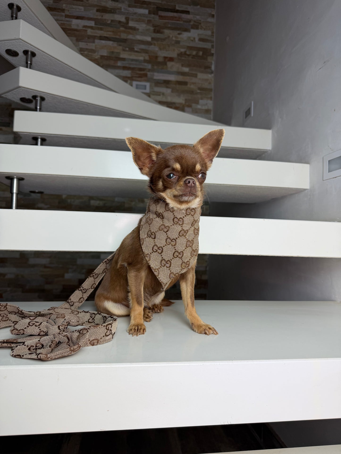 GiGi Bandana collar & leash set