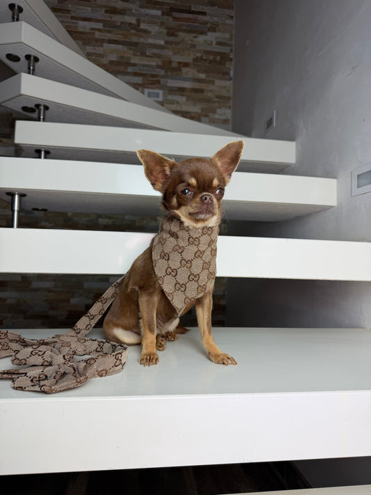 GiGi Bandana collar & leash set