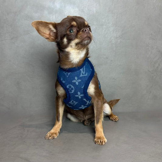 LuiPawtton harness & leash set