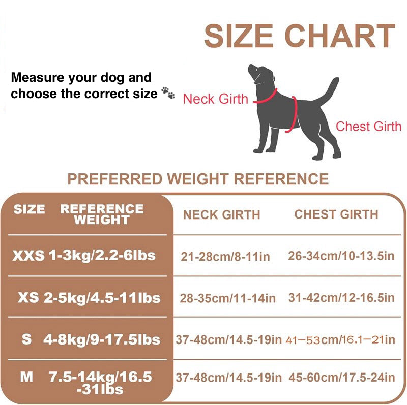 LuiVii Set (harness & leash)