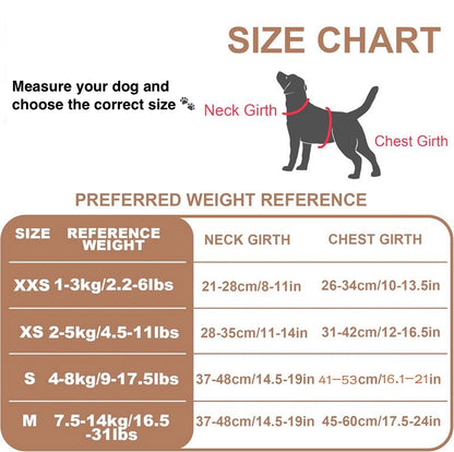 LuiVii Set (harness & leash)