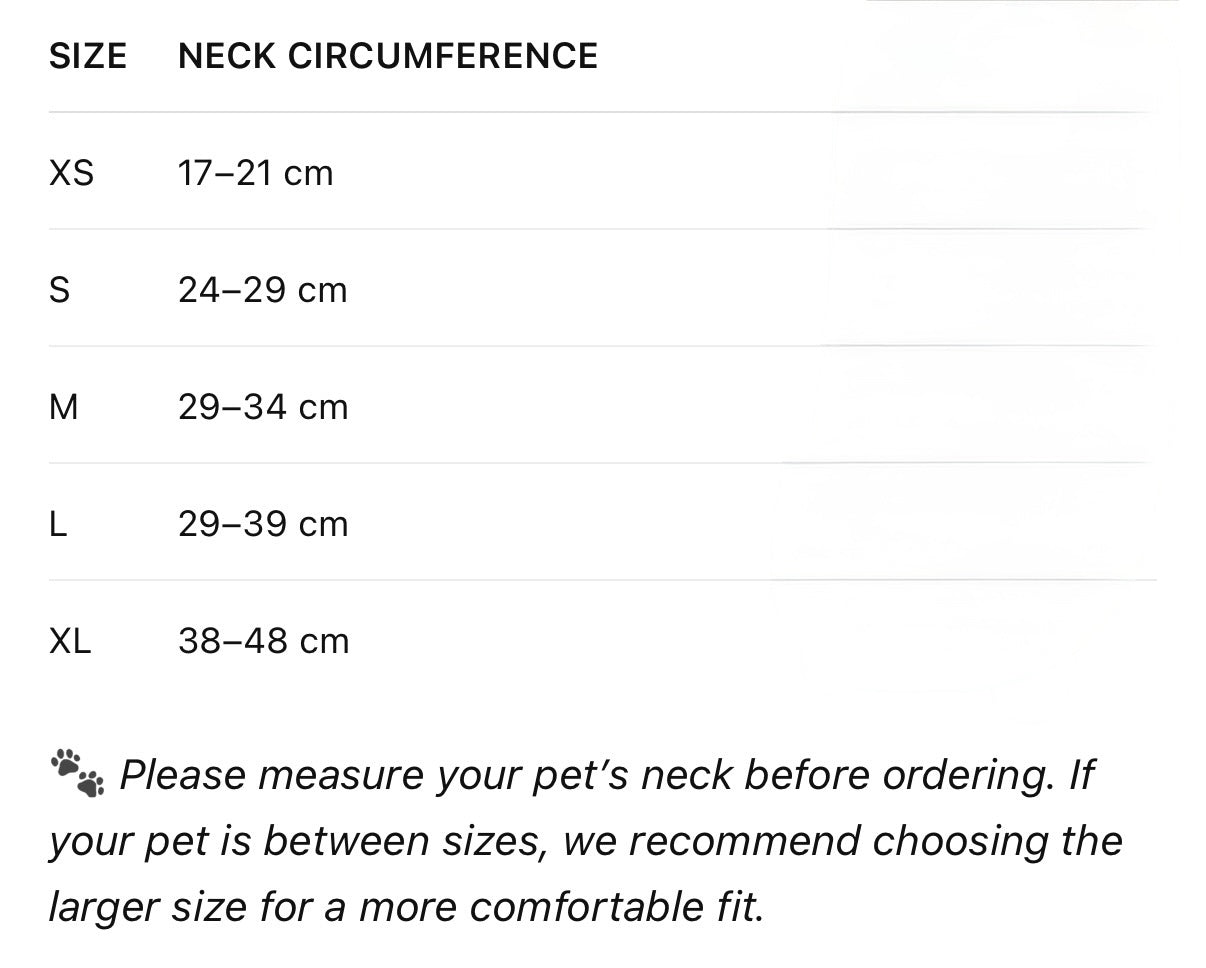 GiGi Bandana collar & leash set