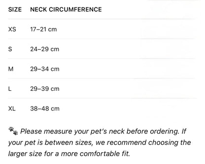 GiGi Bandana collar & leash set