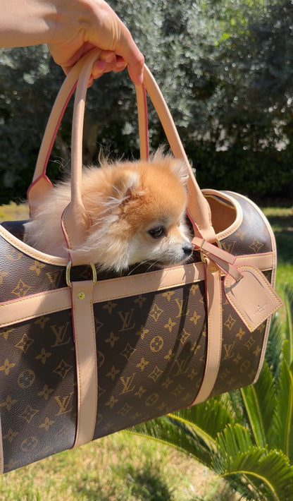 LuiVii Bag