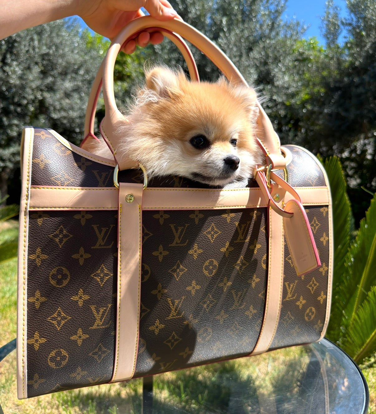 LuiVii Bag