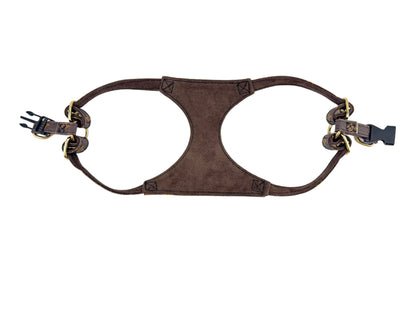 LuiVii Set (harness & leash)