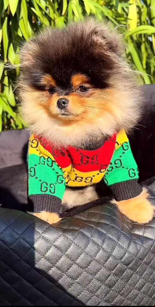 Pawcci Designer Sweater