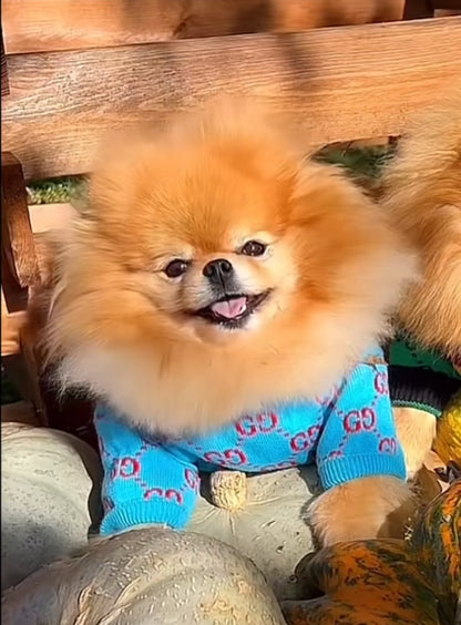 Pawcci Designer Sweater