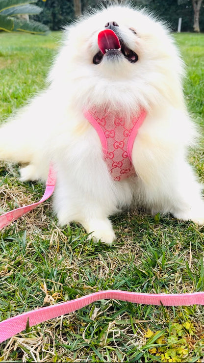 GUZZY LUXURY HARNESS & LEASH