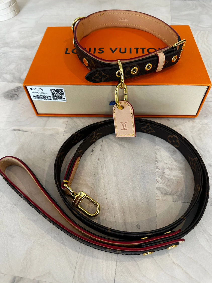 AMELIE COLLAR & LEASH