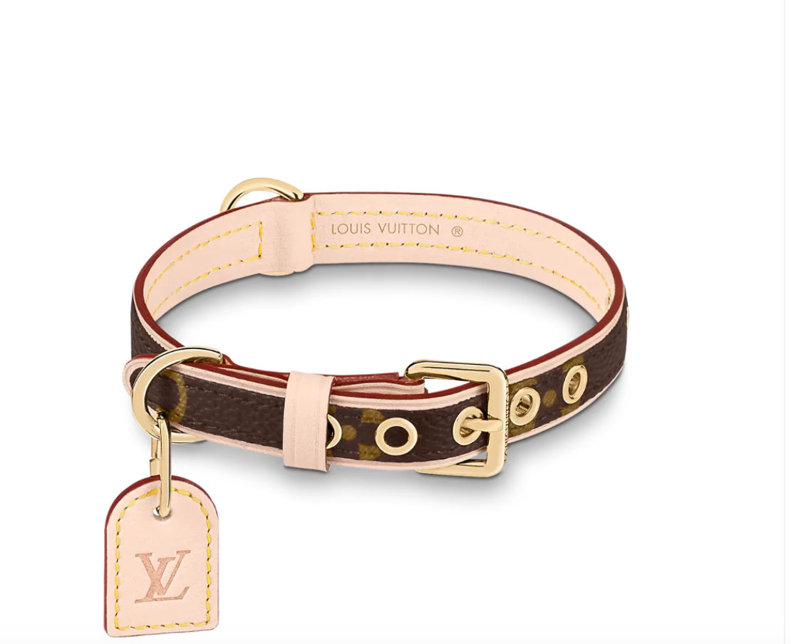 AMELIE COLLAR & LEASH