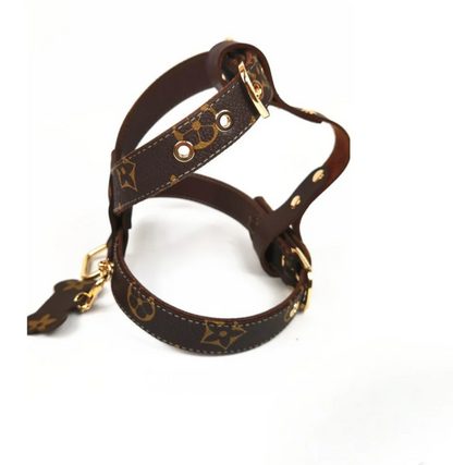 PAWRIANI PREMIUM HARNESS & LEASH