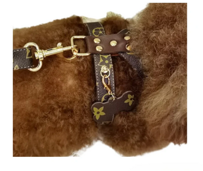 PAWRIANI PREMIUM HARNESS & LEASH