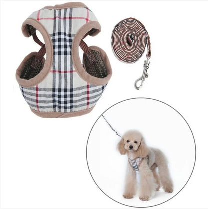 BIJOUPET HARNESS & LEASH