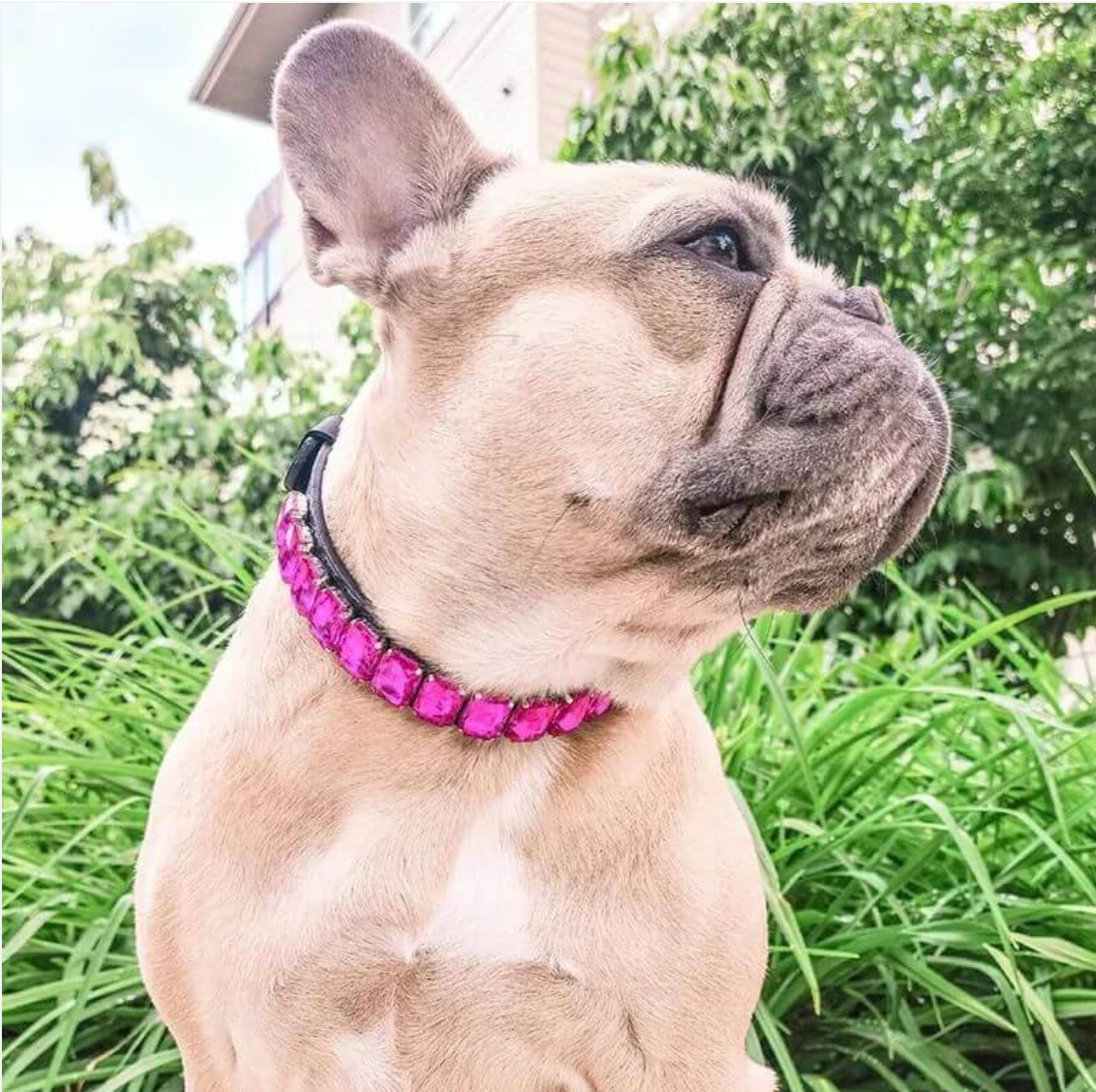 CRISTALLYNA COLLAR