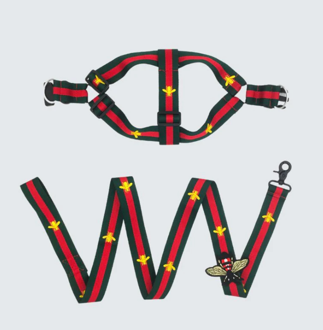 G-BEE HARNESS & LEASH