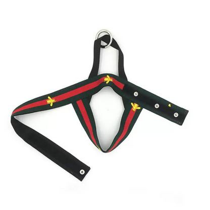 G-BEE HARNESS & LEASH