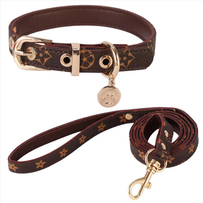 DESIGNER COLLAR & LEASH SET