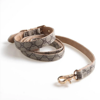 DESIGNER COLLAR & LEASH SET