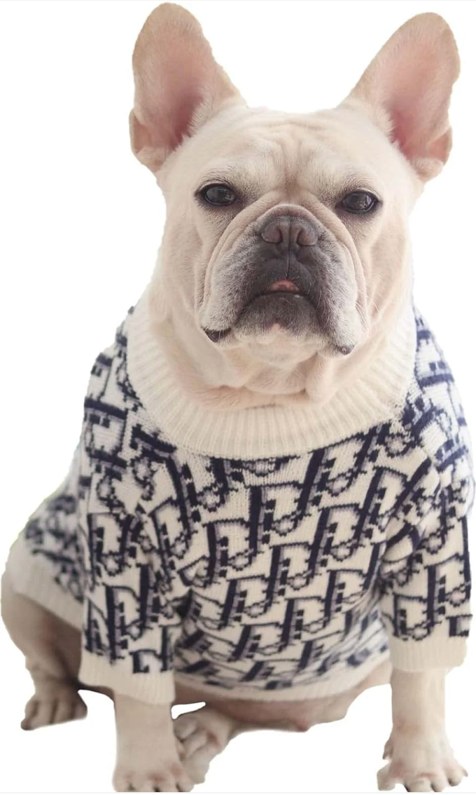 Dogior Monogram Designer Dog Sweater