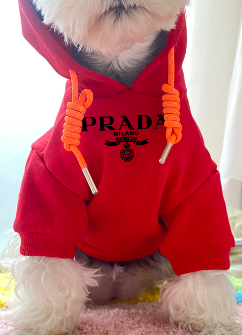 Pawda Hooded Coat