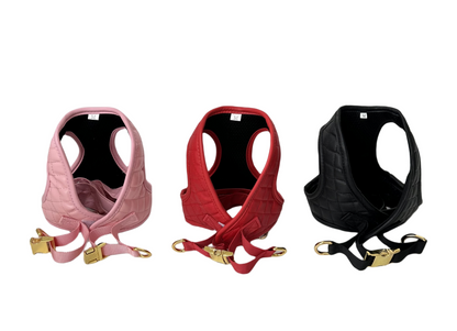 Prady Harness & Leash Set