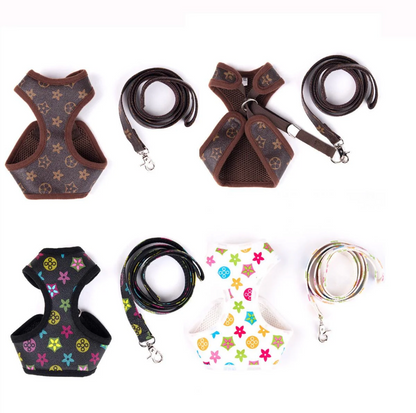 Drusy Harness & Leash Set