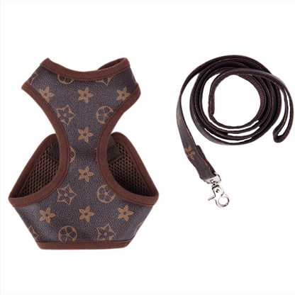 Drusy Harness & Leash Set