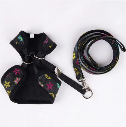 Drusy Harness & Leash Set