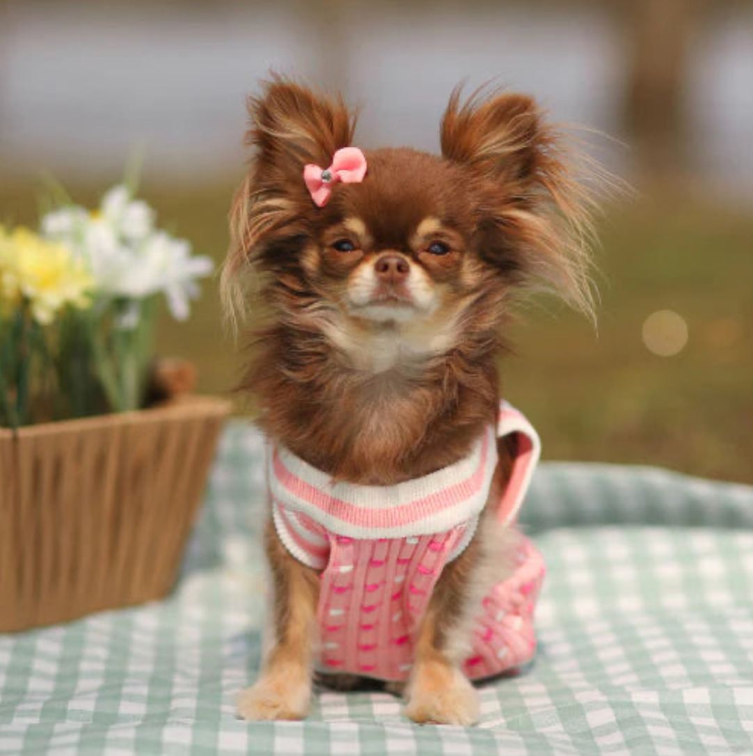 CHEWNEL PINK TANK TOP