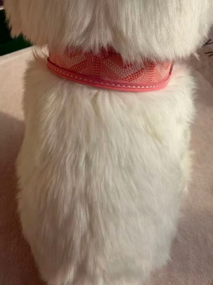 GOYY PINK COLLAR & LEASH SET