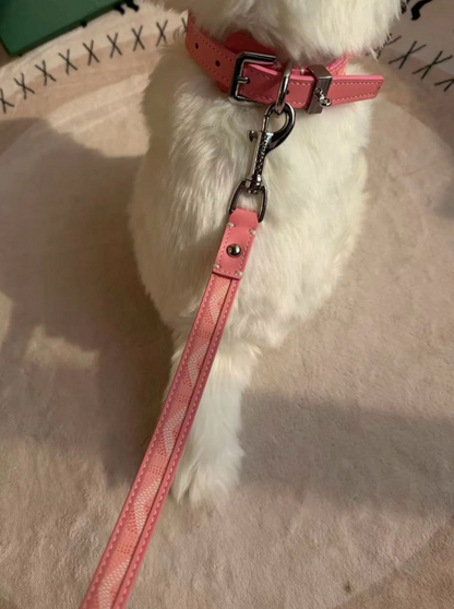 GOYY PINK COLLAR & LEASH SET