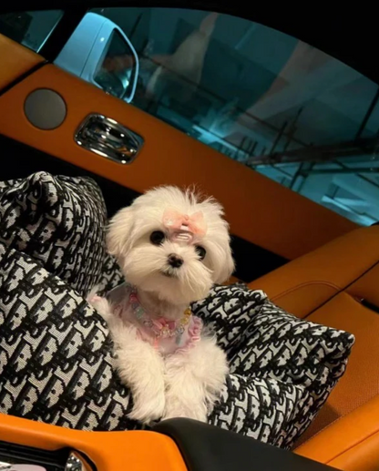 DioriusELITE DOG CAR SEAT